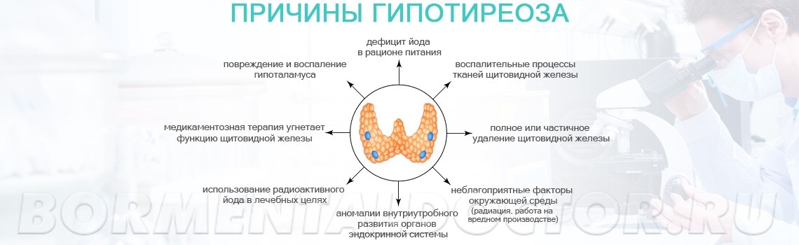 Персональный куратор
