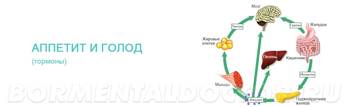 Персональный куратор