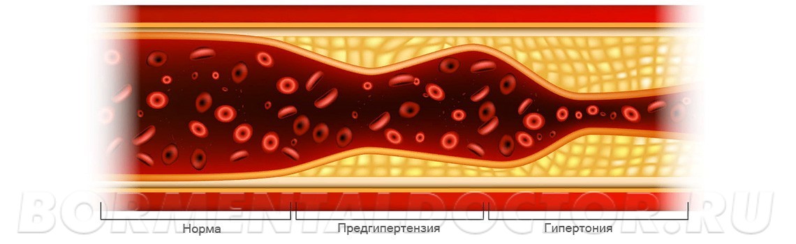 Персональный куратор