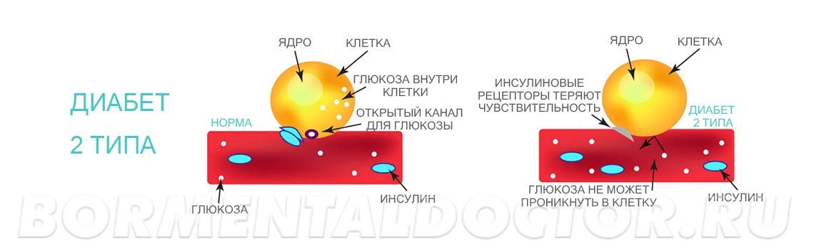 Персональный куратор